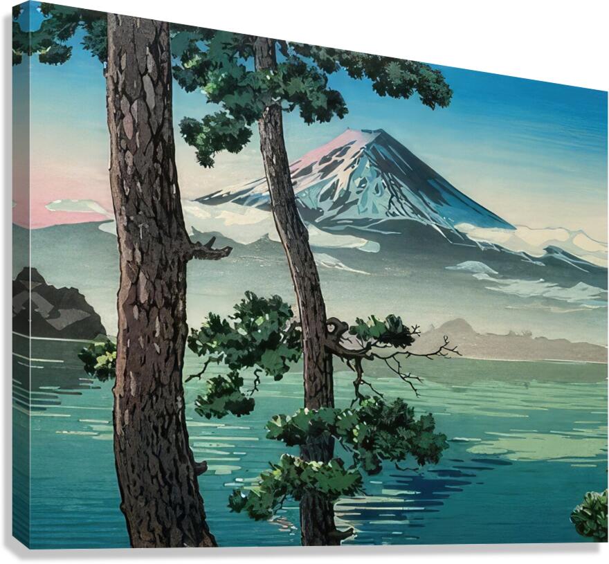 suchiya Koitsu 45 Canvas Print