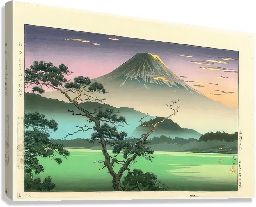 suchiya Koitsu 15 Canvas Print