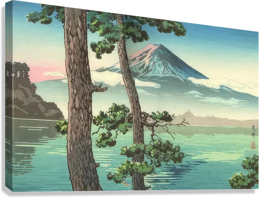 suchiya Koitsu 35 Canvas Print