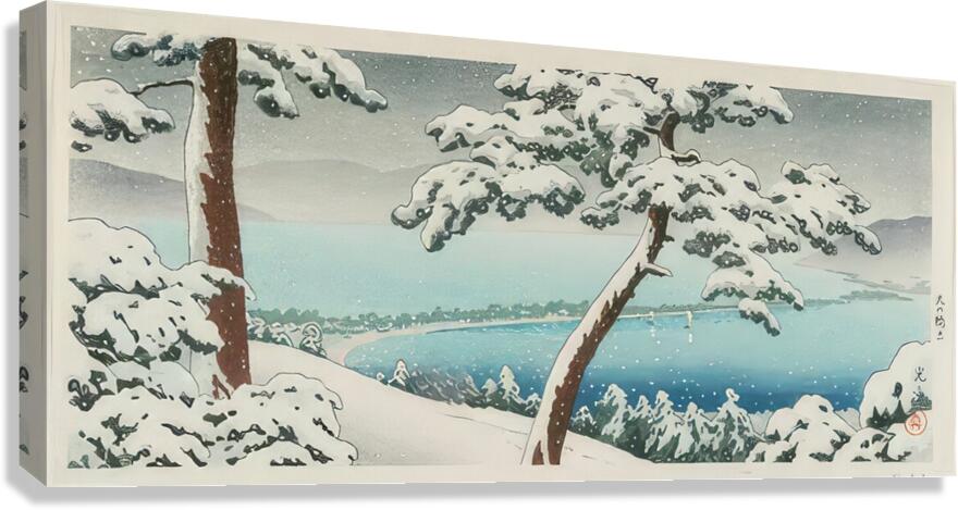 suchiya Koitsu 40 Canvas Print