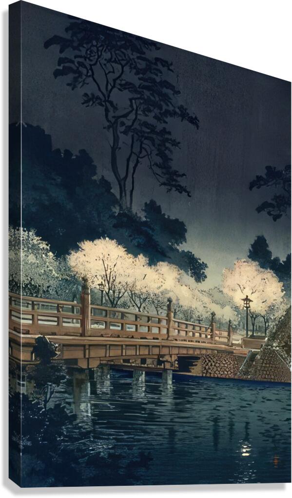 suchiya Koitsu 9 Canvas Print