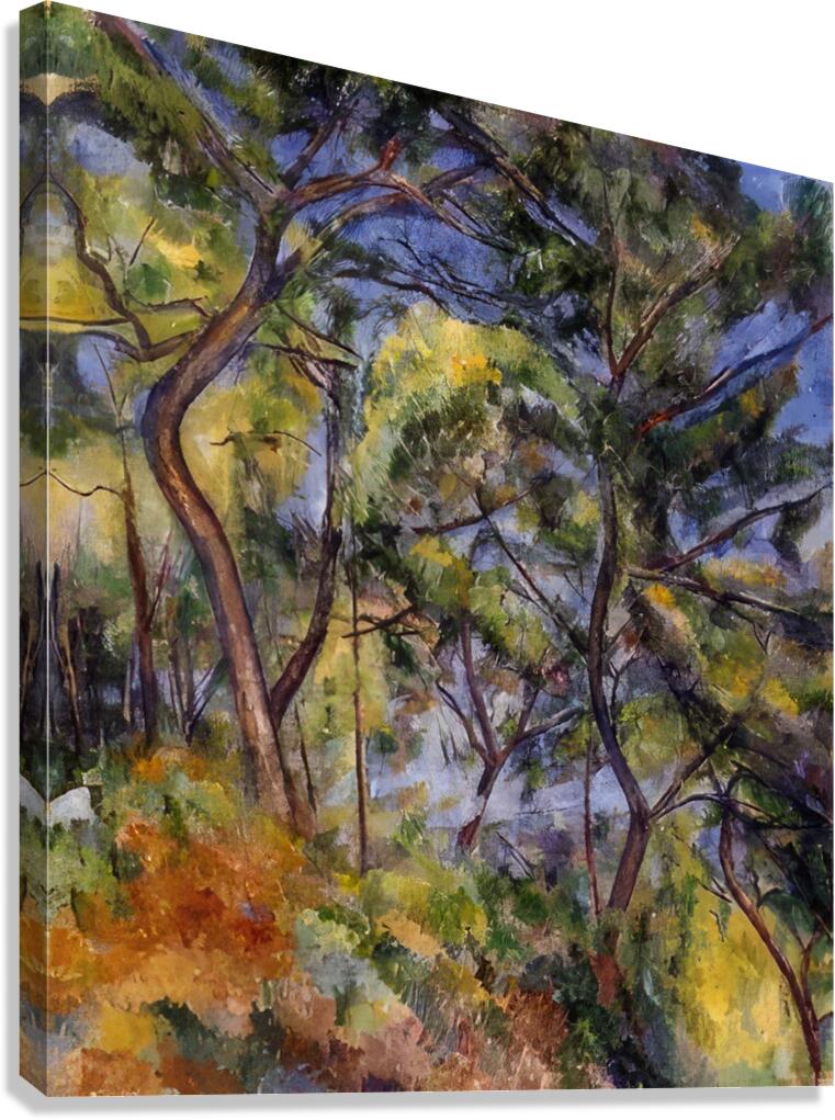 Paul Cézanne 3 Canvas Print