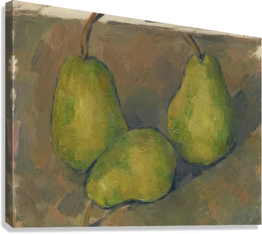 Paul Cézanne 29 Canvas Print