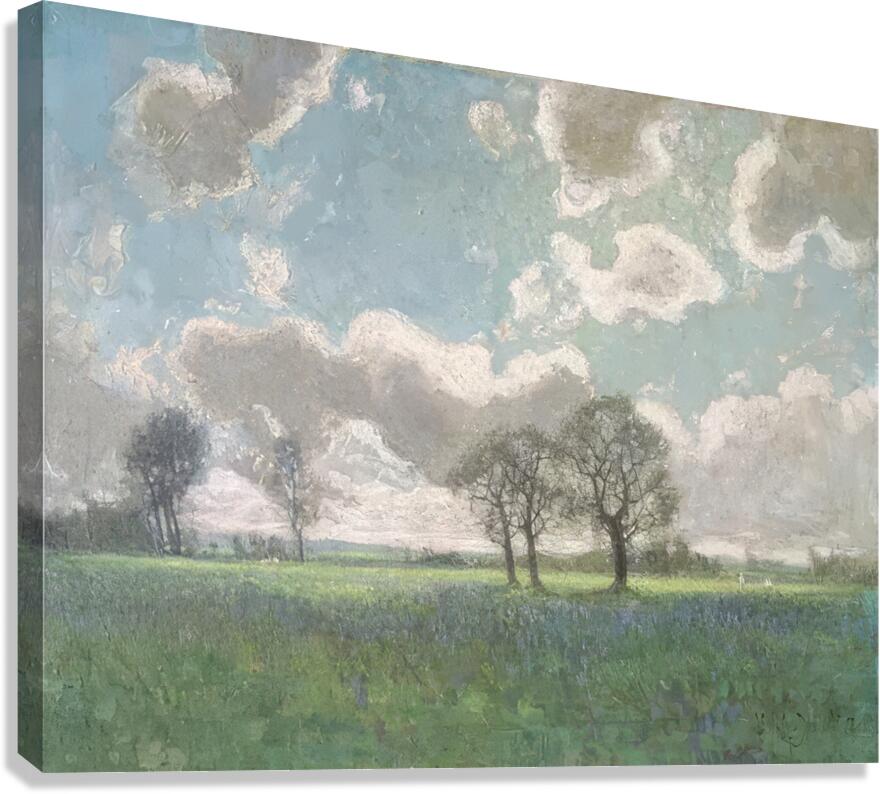 Manly Edward MacDonald   21 Canvas Print