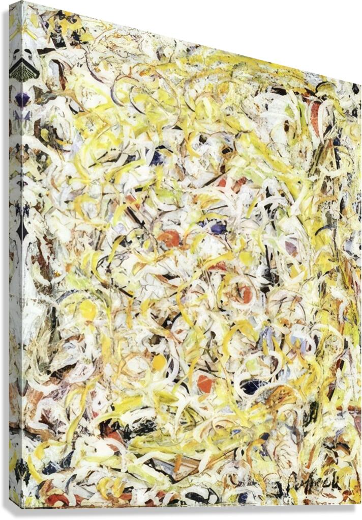 Jackson Pollock 3 Canvas Print