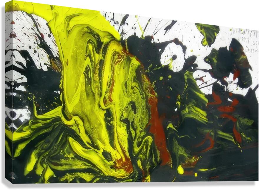 Jackson Pollock 40 Canvas Print