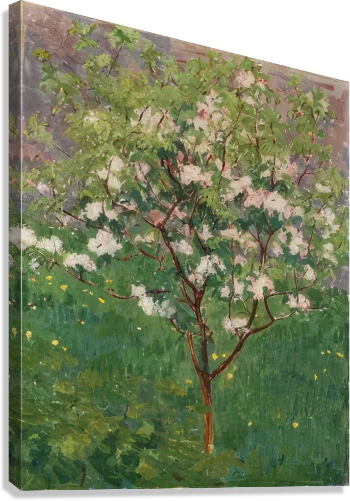 Augusto Giacometti 30 Canvas Print