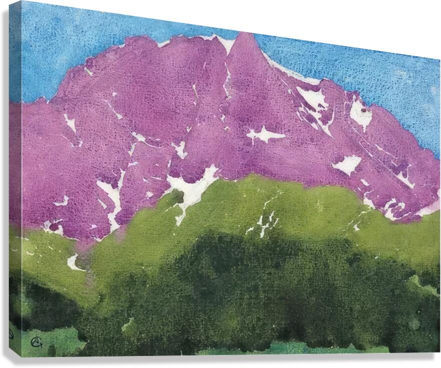 Augusto Giacometti 21 Canvas Print