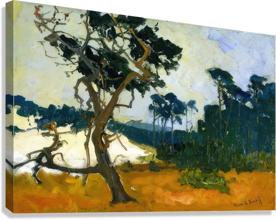 Franz Bischoff 21 Canvas Print