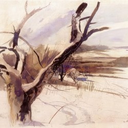 Winter Farm Scene   Contemporary Realism - Andrew Wyeth