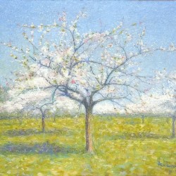 Achille Lauge Art 11