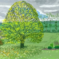 David Hockney 30