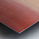 Rene Magritte Metal print