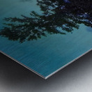 Maxfield Parrish 10 Metal print