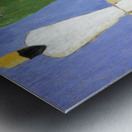 Kazimir Malevich 60 Metal print