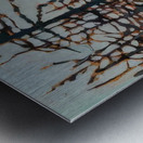 Lawren Harris  15 Metal print