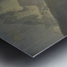 Albert Bierstadt 26 Metal print