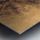 Odilon Redon 11 Metal print