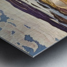 Tom Thomson 14 Metal print