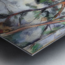 Paul Cézanne 5 Metal print