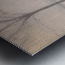 Clarice Beckett 10 Metal print