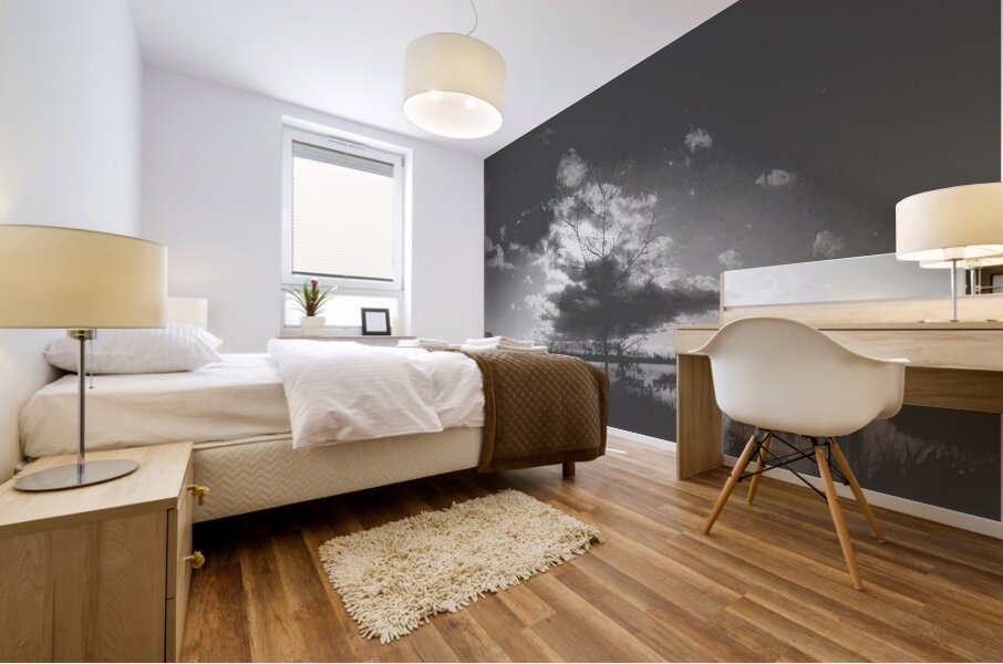 Félix Thiollier 11 Mural print