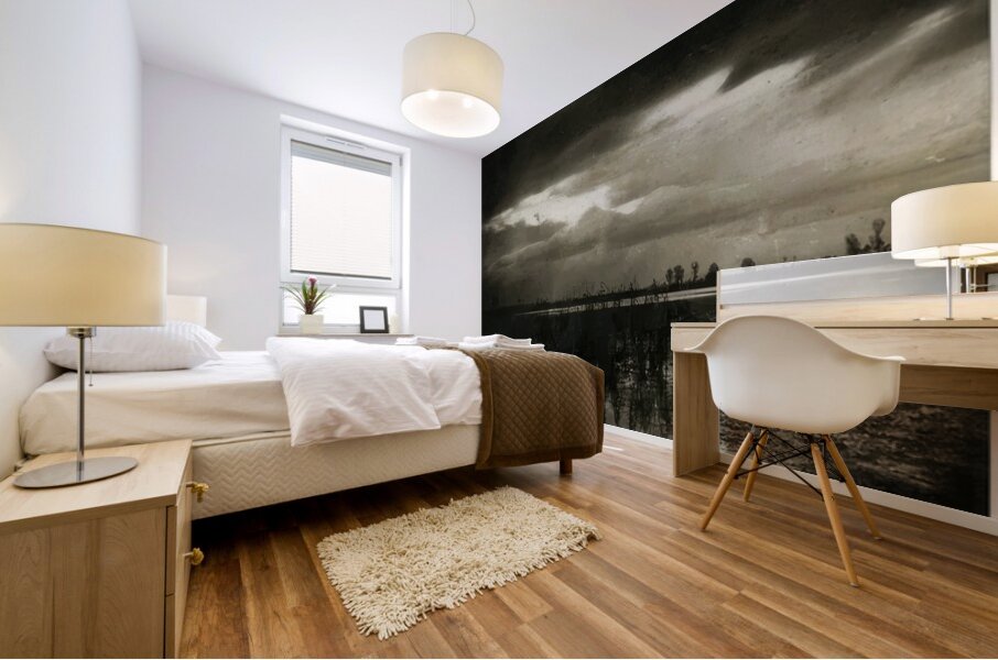 Félix Thiollier 23 Mural print