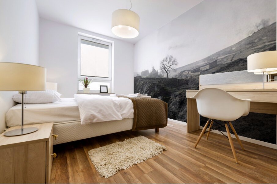 Félix Thiollier 27 Mural print