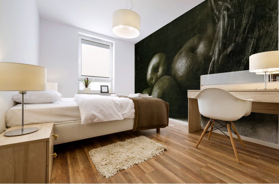 Félix Thiollier 39 Mural print