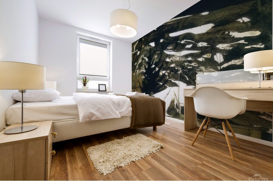 Wolf Moon   1975 - Andrew Wyeth Mural print