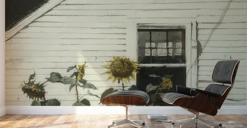 Andrew Wyeth Wall Murals