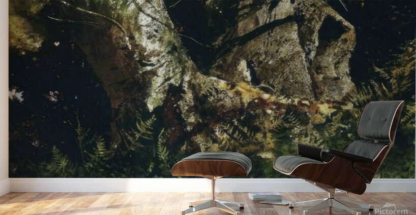 Walking Stick   Contemporary Realism - Andrew Wyeth Wall Murals