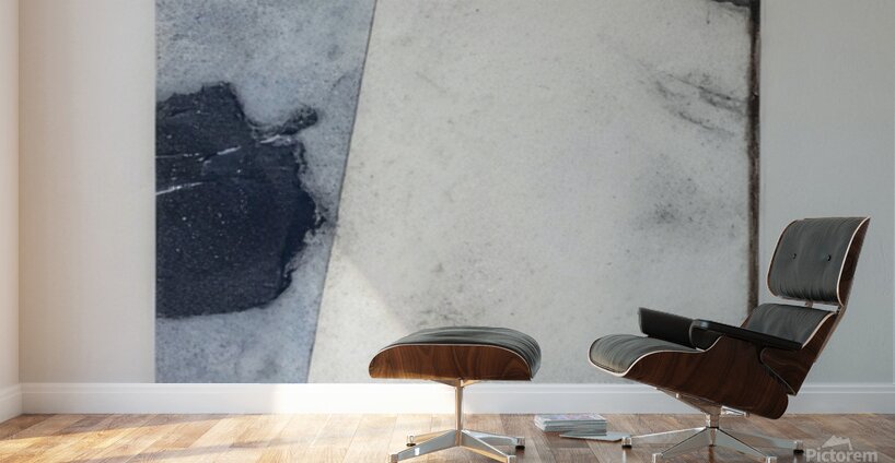 Brice Marden Wall Murals