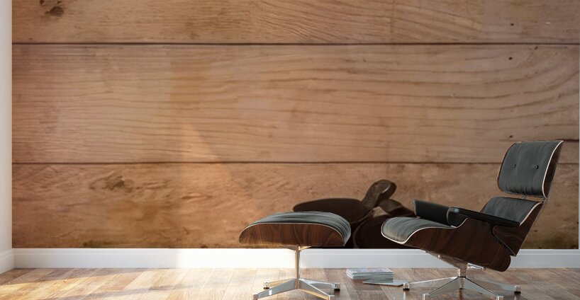 Rene Magritte Wall Murals