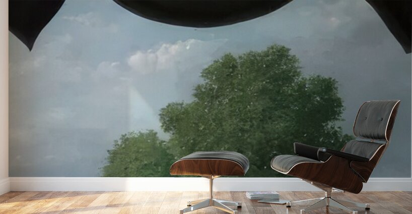 Rene Magritte Wall Murals