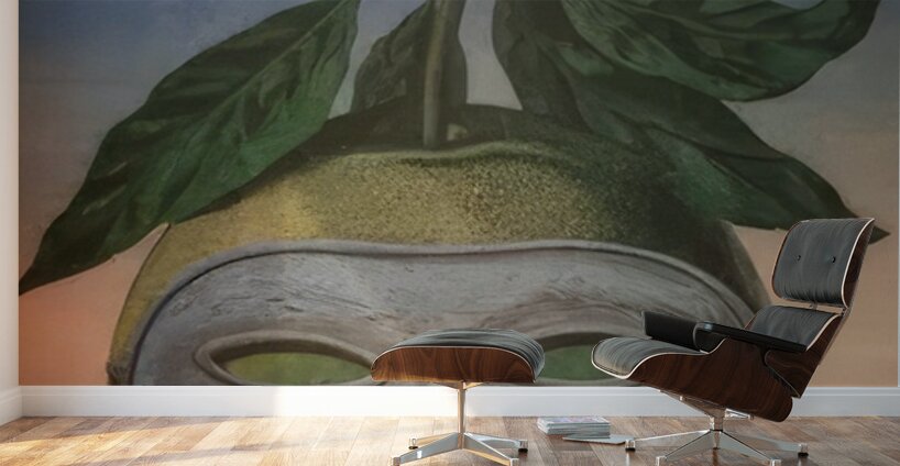 Rene Magritte Wall Murals