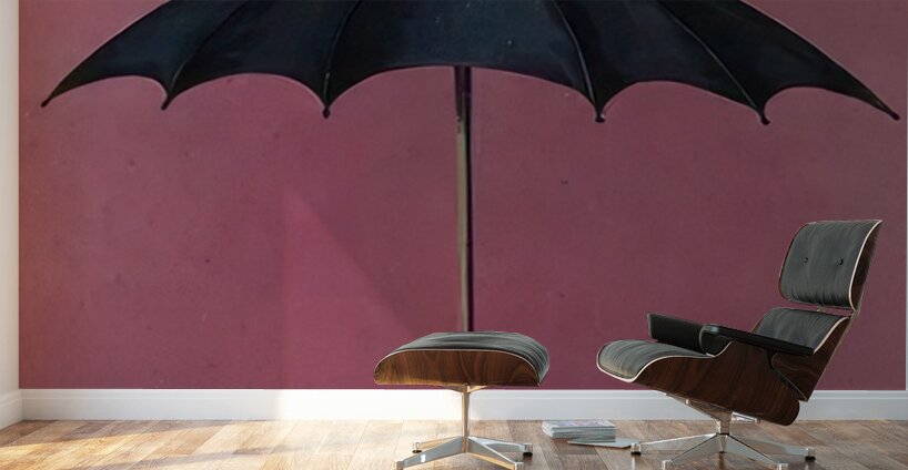 Rene Magritte Wall Murals