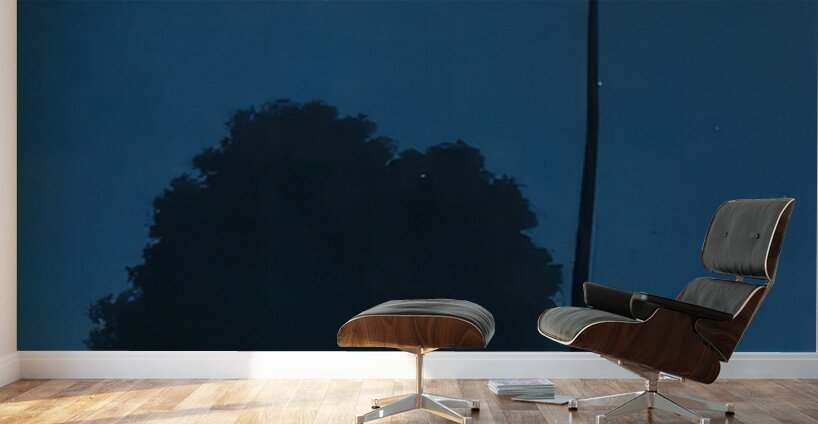 Rene Magritte Wall Murals