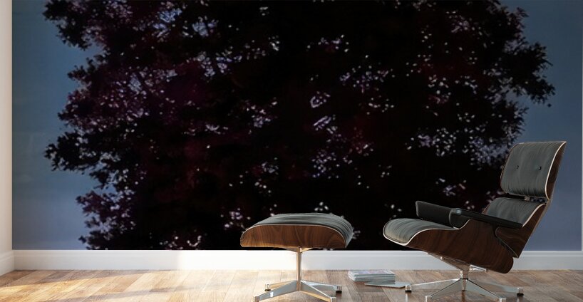 Rene Magritte Wall Murals