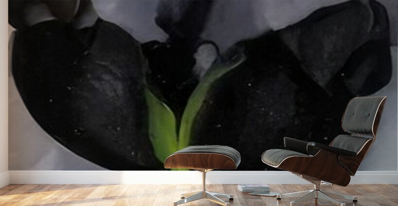 Georgia OKeeffe 42 Wall Murals