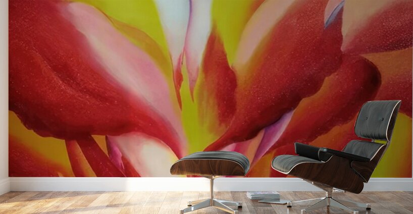 Georgia OKeeffe 60 Wall Murals