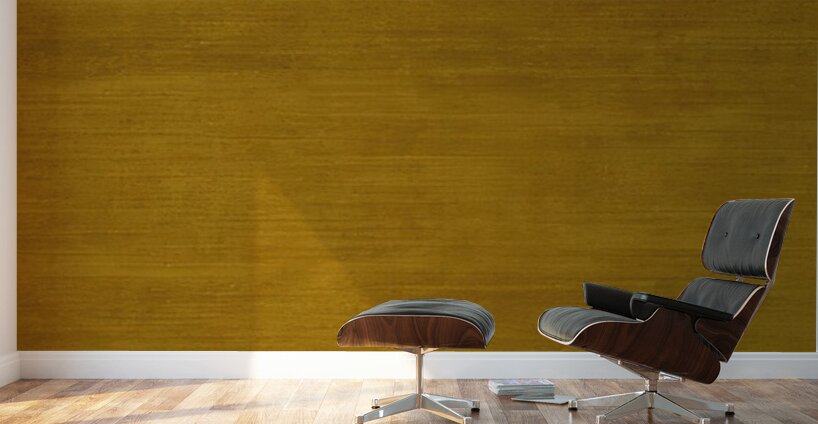 Agnes Martin    25 Wall Murals