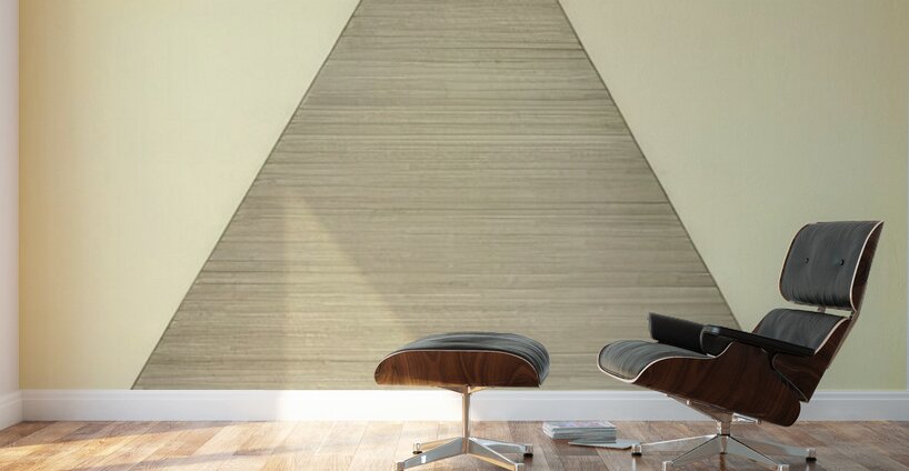 Agnes Martin    49 Wall Murals