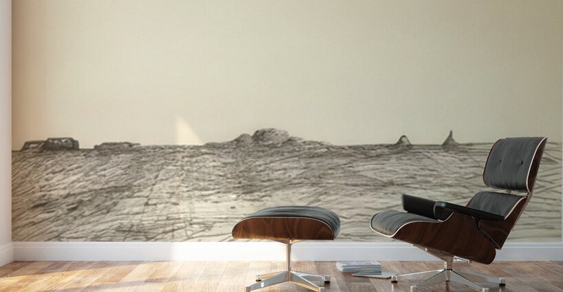 Ben Shahn 3 Wall Murals