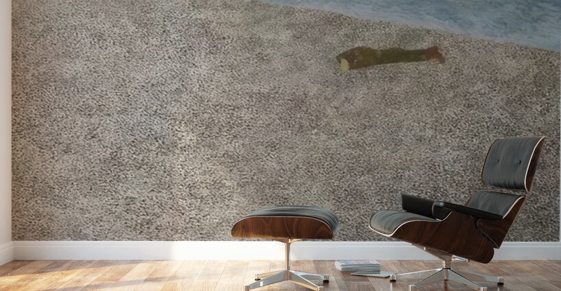 Ben Shahn 37 Wall Murals