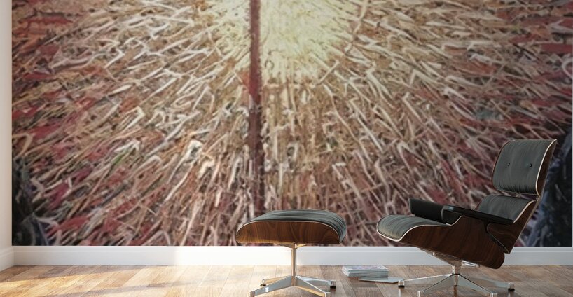 Artwork by Giacomo Balla  25 Wall Murals