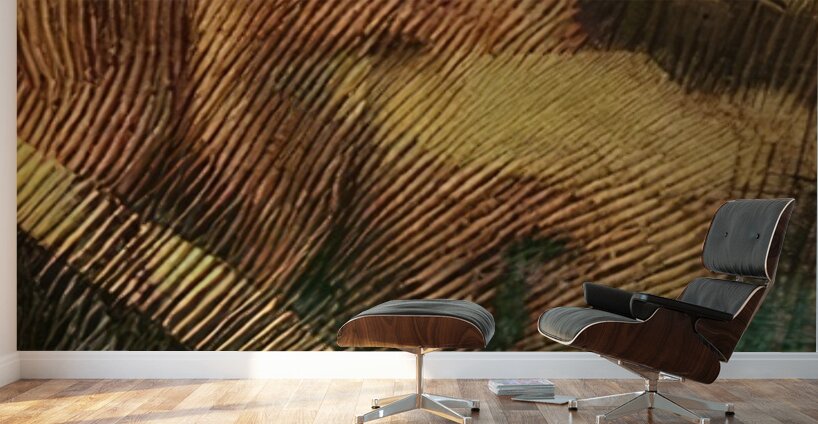 Artwork by Giacomo Balla  30 Wall Murals