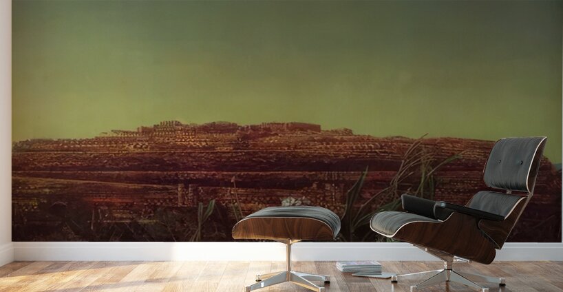 Max Ernst 44 Wall Murals