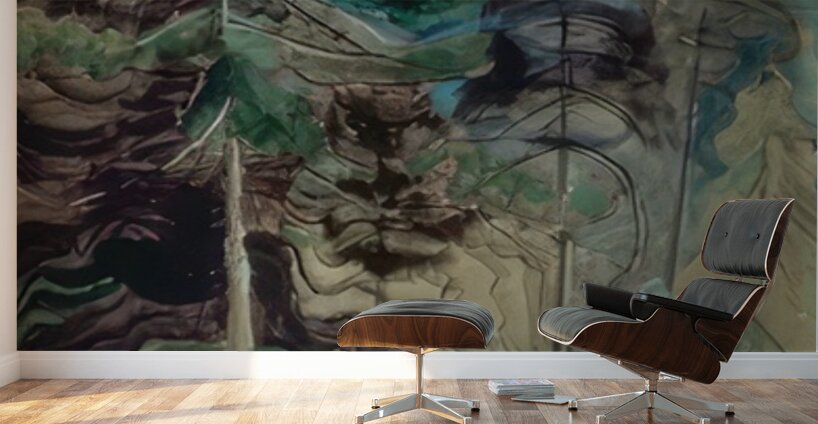 Emily Carr 25 Wall Murals