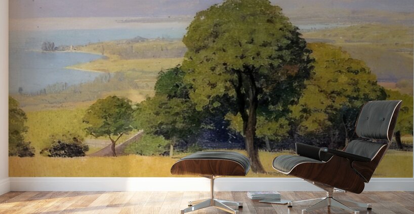 Félix Thiollier 2 Wall Murals